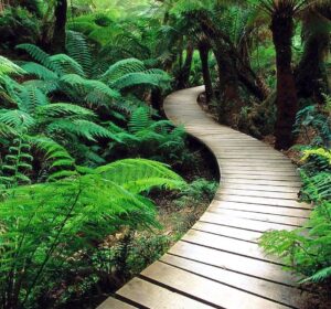 Nature
