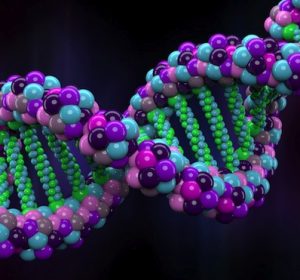 DNA Mindfulness