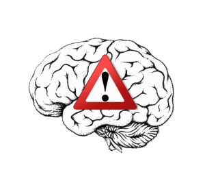 Brain Background Removed