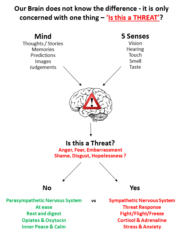 Benefits of Positive Thinking vs Side Effects of Negative Thinking