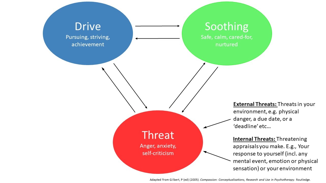 CFT 3 Circles Model