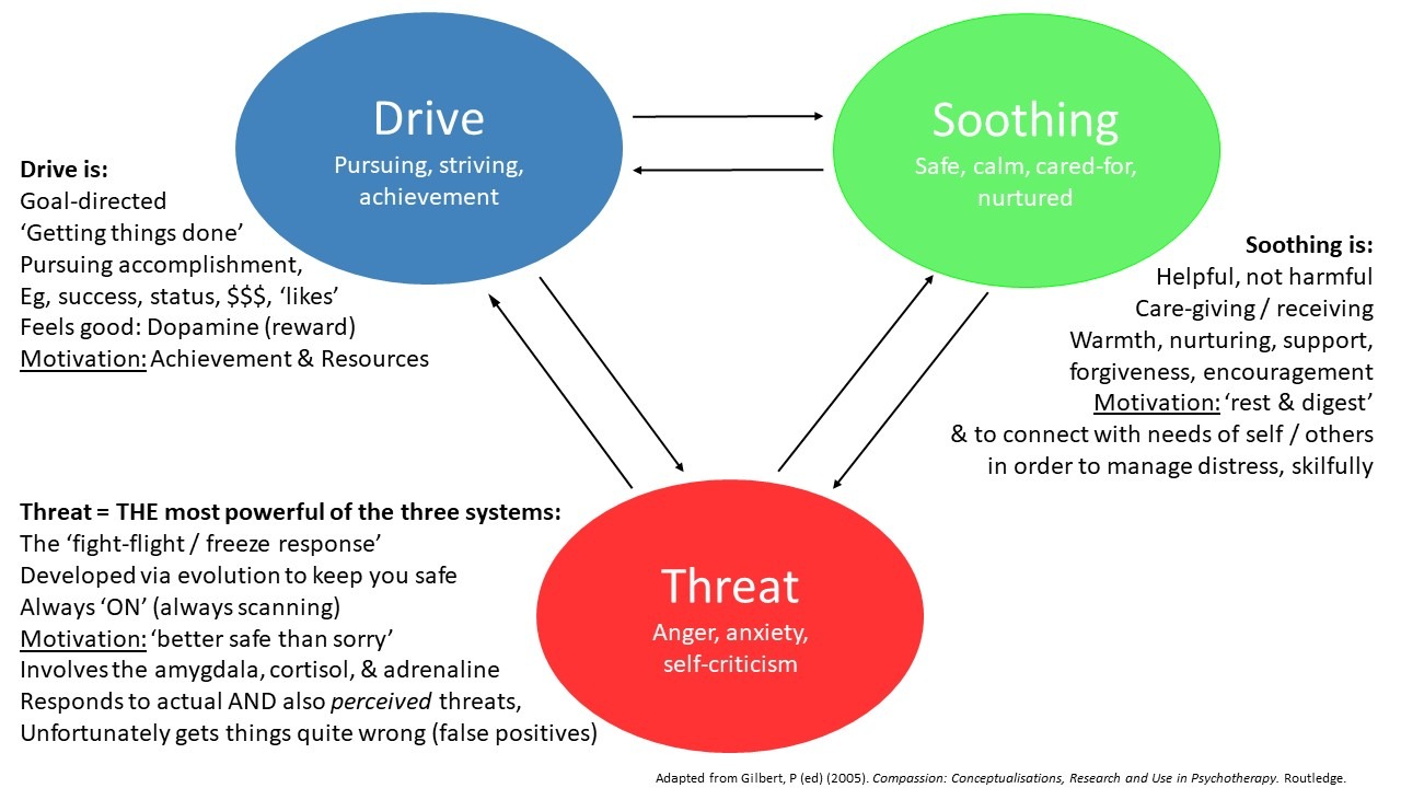 Your Brains 3 Emotion Regulation Systems Learn To Soothe Yourself