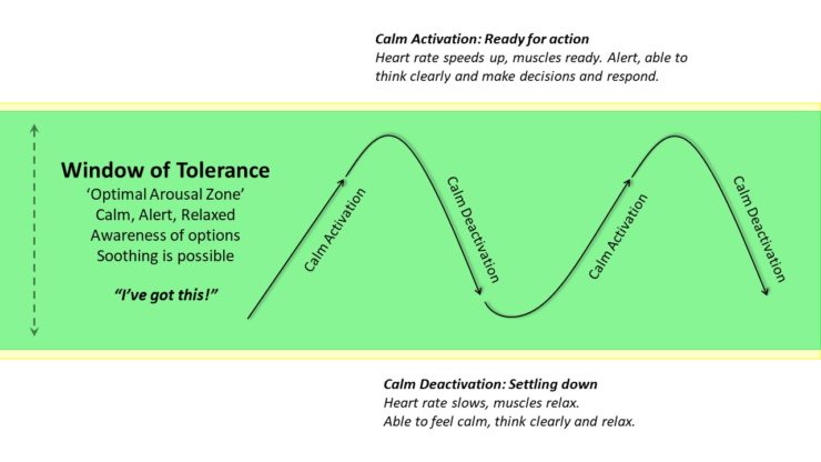 Window of Tolerance