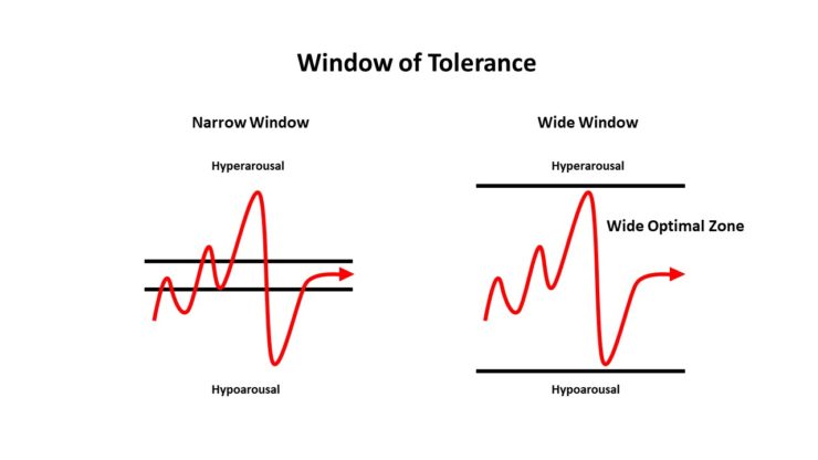 Emotion Regulation 101: Your Window of Tolerance